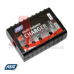 17205 ASG - Chargeur multiple pour Nimh, NiCd, LiPo, LiFe
