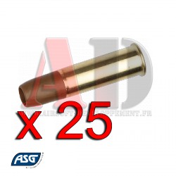 16549 ASG - DAN WESSON Co2 Box de 25 cartouches